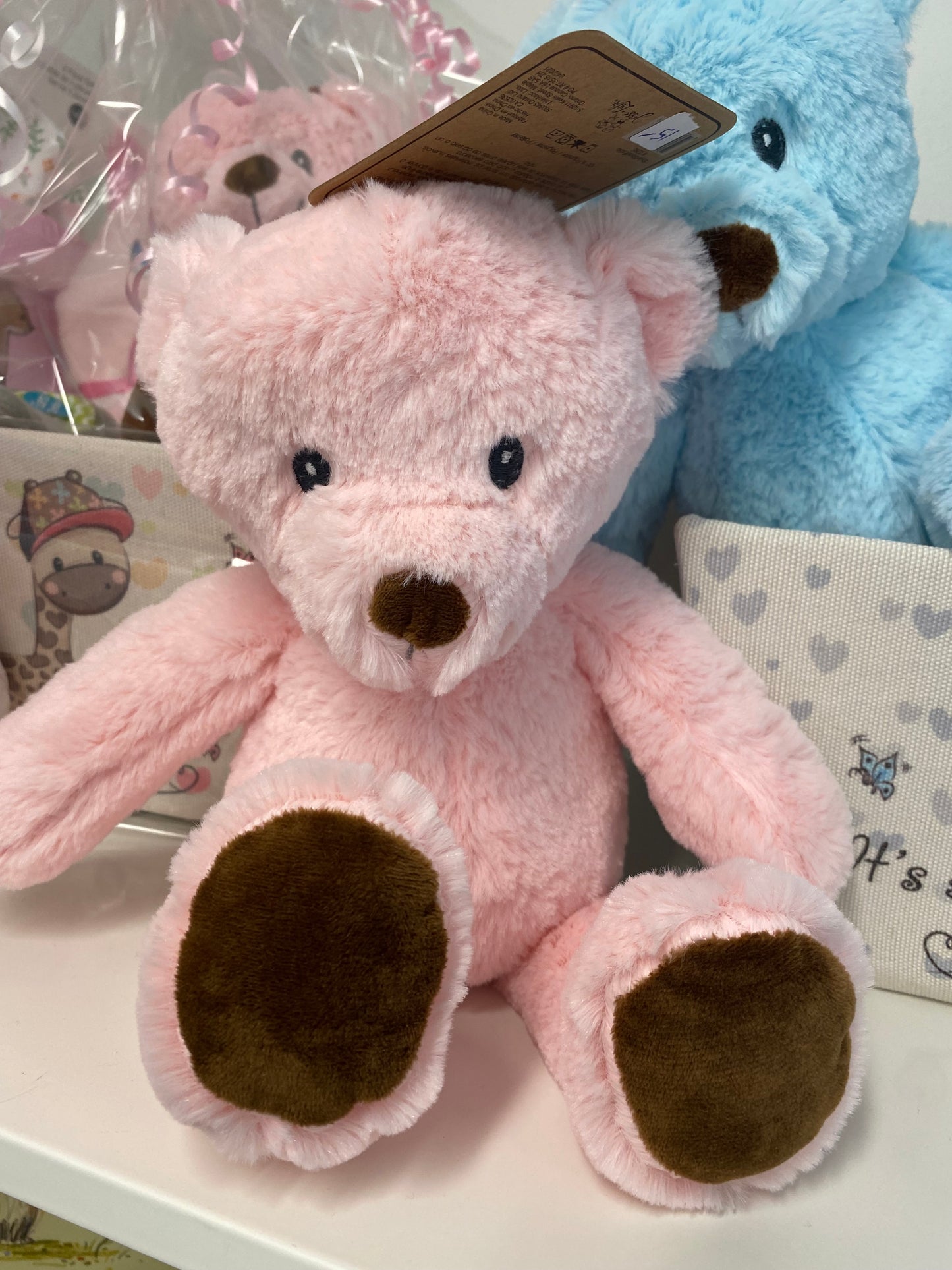 Plush Teddy Bears, Available in Pink and Blue